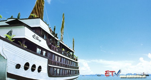 Khuyến mãi Du thuyền Bhaya Cruises Ha Long 